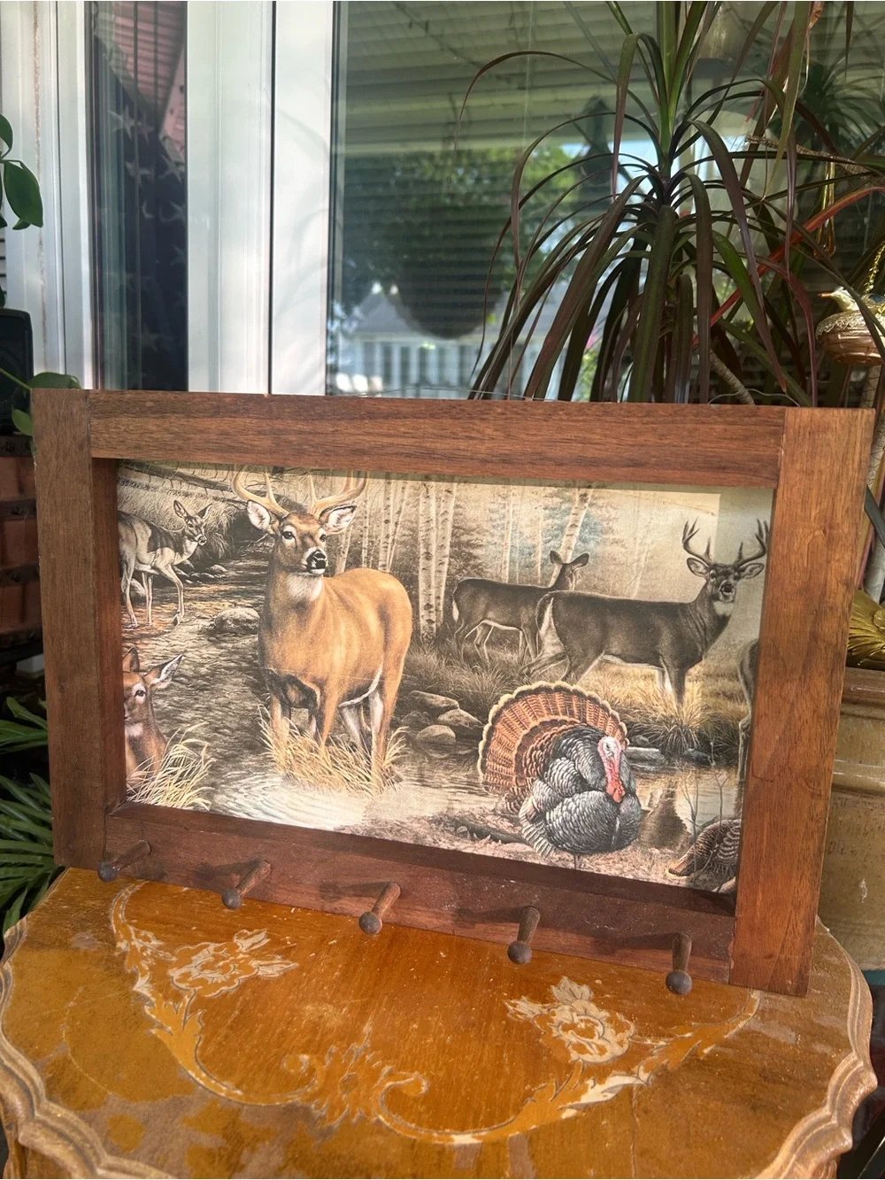 Vintage Framed Wildlife Wall Art with Pegs